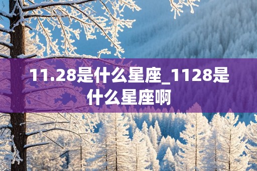 11.28是什么星座_1128是什么星座啊