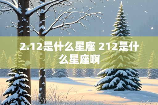 2.12是什么星座 212是什么星座啊