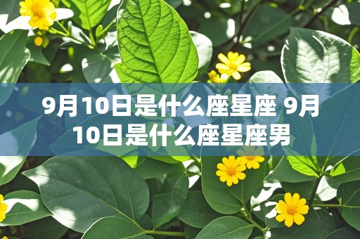 9月10日是什么座星座 9月10日是什么座星座男