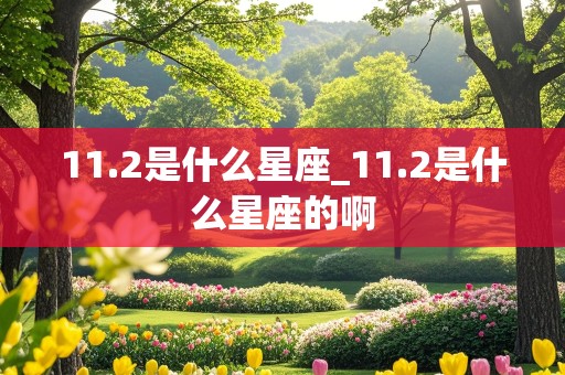 11.2是什么星座_11.2是什么星座的啊