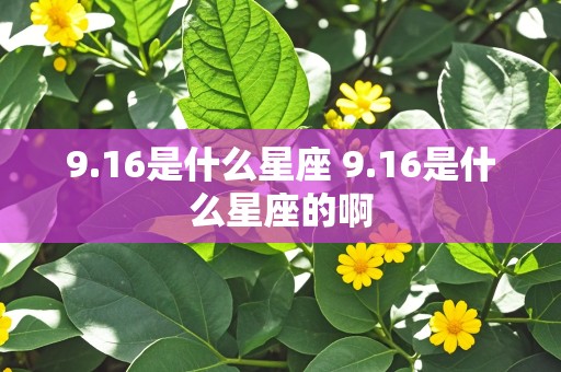 9.16是什么星座 9.16是什么星座的啊