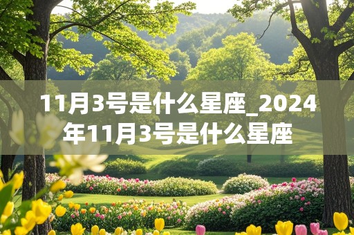 11月3号是什么星座_2024年11月3号是什么星座