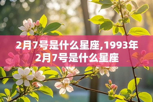 2月7号是什么星座,1993年2月7号是什么星座