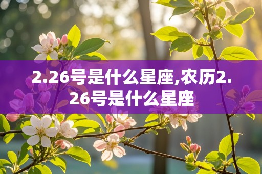 2.26号是什么星座,农历2.26号是什么星座