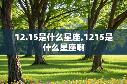 12.15是什么星座,1215是什么星座啊