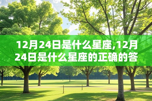 12月24日是什么星座,12月24日是什么星座的正确的答案