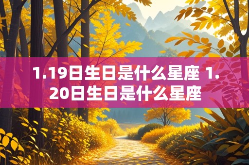 1.19日生日是什么星座 1.20日生日是什么星座