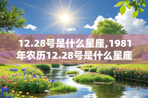 12.28号是什么星座,1981年农历12.28号是什么星座