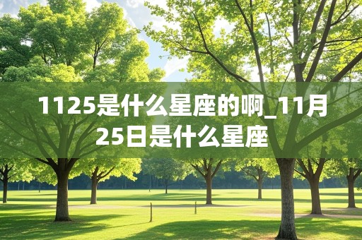 1125是什么星座的啊_11月25日是什么星座