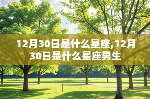 12月30日是什么星座,12月30日是什么星座男生