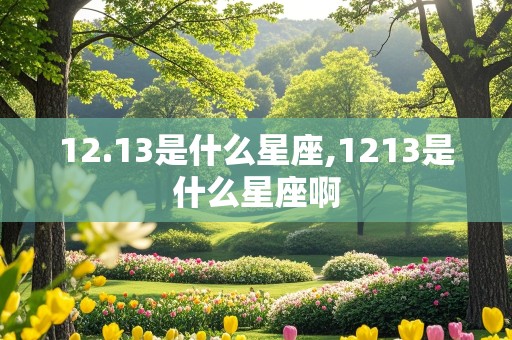 12.13是什么星座,1213是什么星座啊