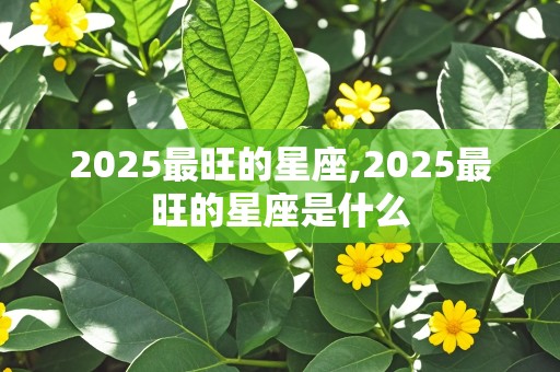 2025最旺的星座,2025最旺的星座是什么