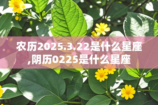 农历2025.3.22是什么星座,阴历0225是什么星座