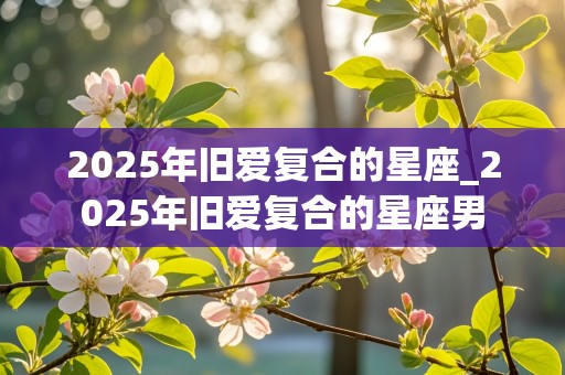 2025年旧爱复合的星座_2025年旧爱复合的星座男