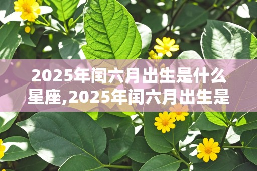 2025年闰六月出生是什么星座,2025年闰六月出生是什么星座女