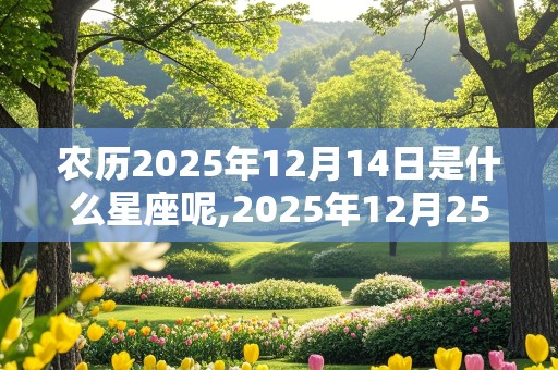 农历2025年12月14日是什么星座呢,2025年12月25号农历是什么?