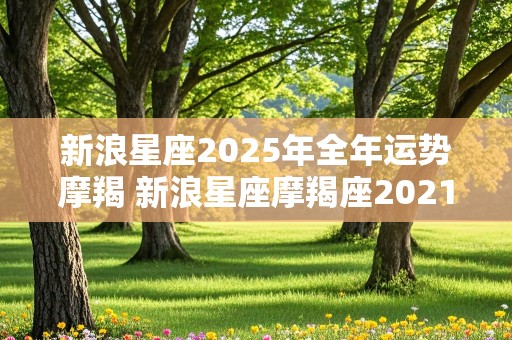 新浪星座2025年全年运势摩羯 新浪星座摩羯座2021年运势