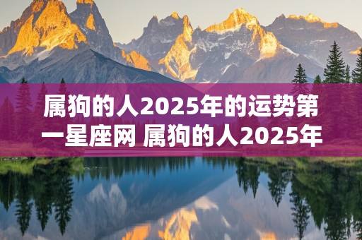 属狗的人2025年的运势第一星座网 属狗的人2025年的运势及运程