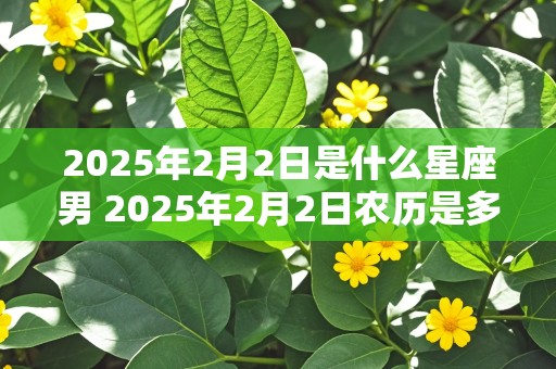 2025年2月2日是什么星座男 2025年2月2日农历是多少