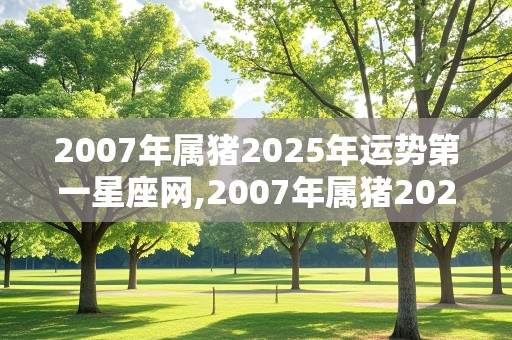 2007年属猪2025年运势第一星座网,2007年属猪2025年运势及运程