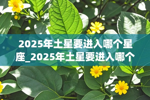 2025年土星要进入哪个星座_2025年土星要进入哪个星座呢