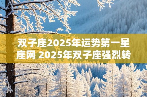 双子座2025年运势第一星座网 2025年双子座强烈转变的一年