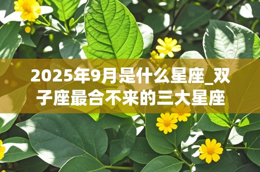 2025年9月是什么星座_双子座最合不来的三大星座