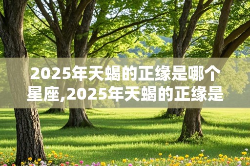 2025年天蝎的正缘是哪个星座,2025年天蝎的正缘是哪个星座的人