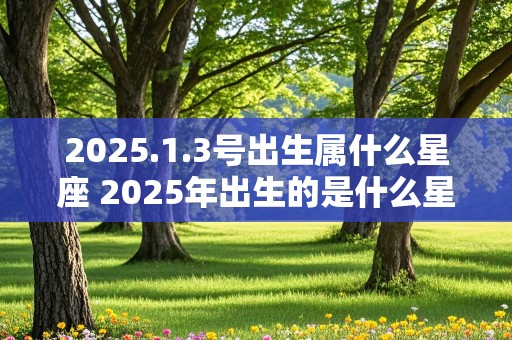 2025.1.3号出生属什么星座 2025年出生的是什么星座