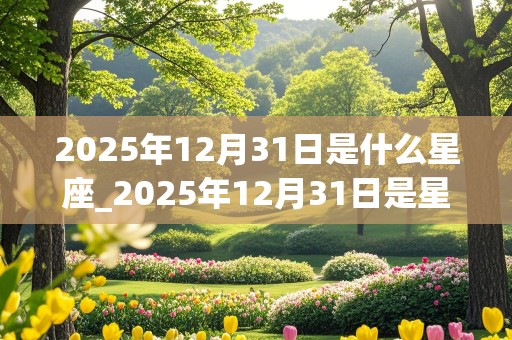 2025年12月31日是什么星座_2025年12月31日是星期几