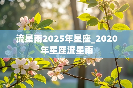 流星雨2025年星座_2020年星座流星雨