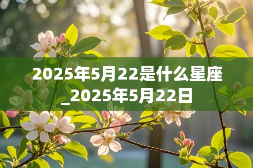 2025年5月22是什么星座_2025年5月22日