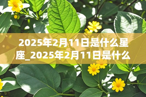 2025年2月11日是什么星座_2025年2月11日是什么星座?