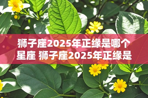 狮子座2025年正缘是哪个星座 狮子座2025年正缘是哪个星座男