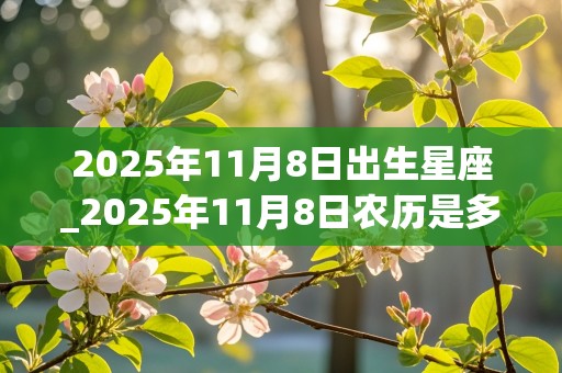 2025年11月8日出生星座_2025年11月8日农历是多少