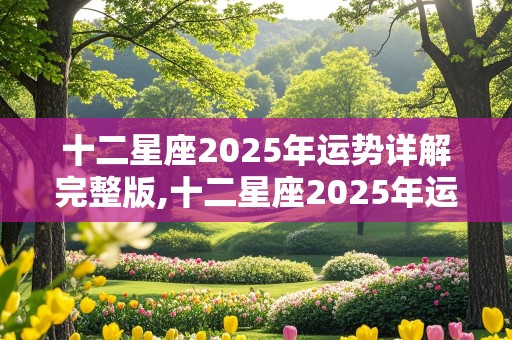 十二星座2025年运势详解完整版,十二星座2025年运势详解完整版图片