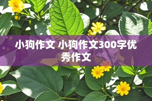 小狗作文 小狗作文300字优秀作文