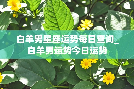 白羊男星座运势每日查询_白羊男运势今日运势