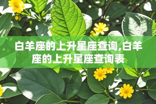 白羊座的上升星座查询,白羊座的上升星座查询表