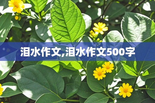 泪水作文,泪水作文500字