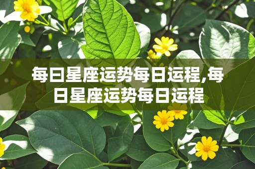 每曰星座运势每日运程,每日星座运势每日运程