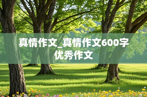 真情作文_真情作文600字优秀作文