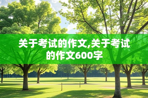 关于考试的作文,关于考试的作文600字