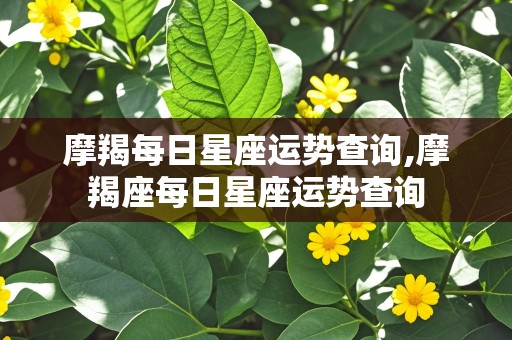 摩羯每日星座运势查询,摩羯座每日星座运势查询