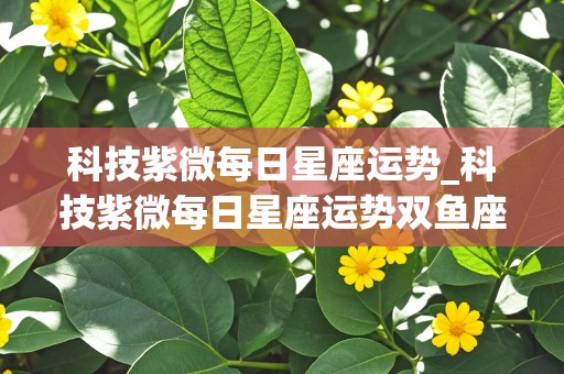 科技紫微每日星座运势_科技紫微每日星座运势双鱼座