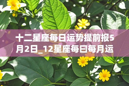 十二星座每日运势提前报5月2日_12星座每曰每月运势