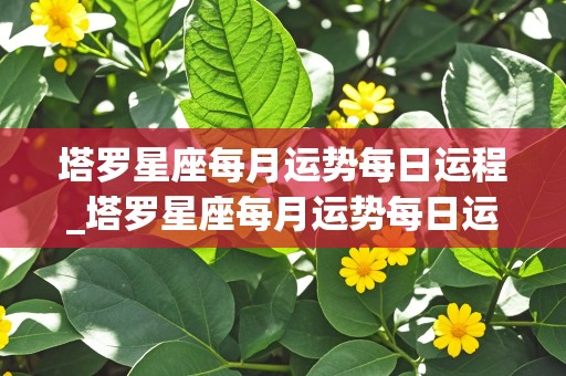 塔罗星座每月运势每日运程_塔罗星座每月运势每日运程