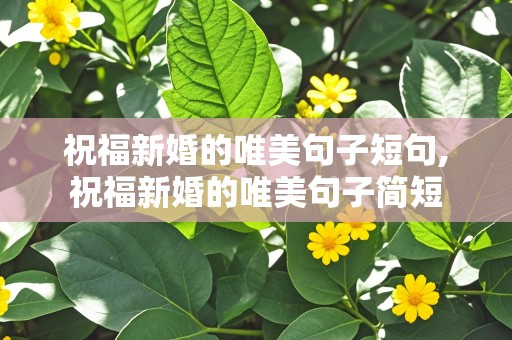 祝福新婚的唯美句子短句,祝福新婚的唯美句子简短