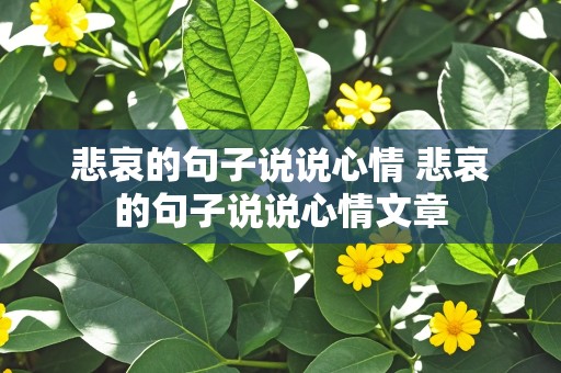 悲哀的句子说说心情 悲哀的句子说说心情文章