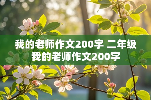 我的老师作文200字 二年级我的老师作文200字